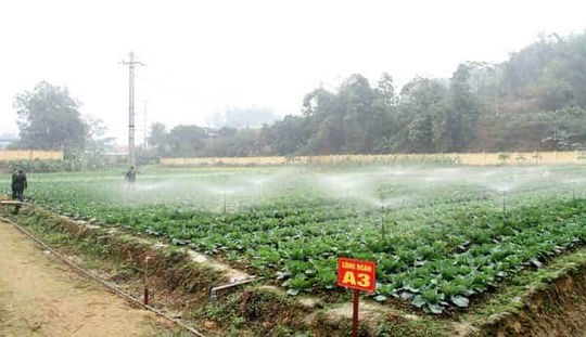 <span>Khu vực trồng rau do Công đoàn Nhà máy đảm nhiệm được trang bị hệ thống phun nước tự động.</span>